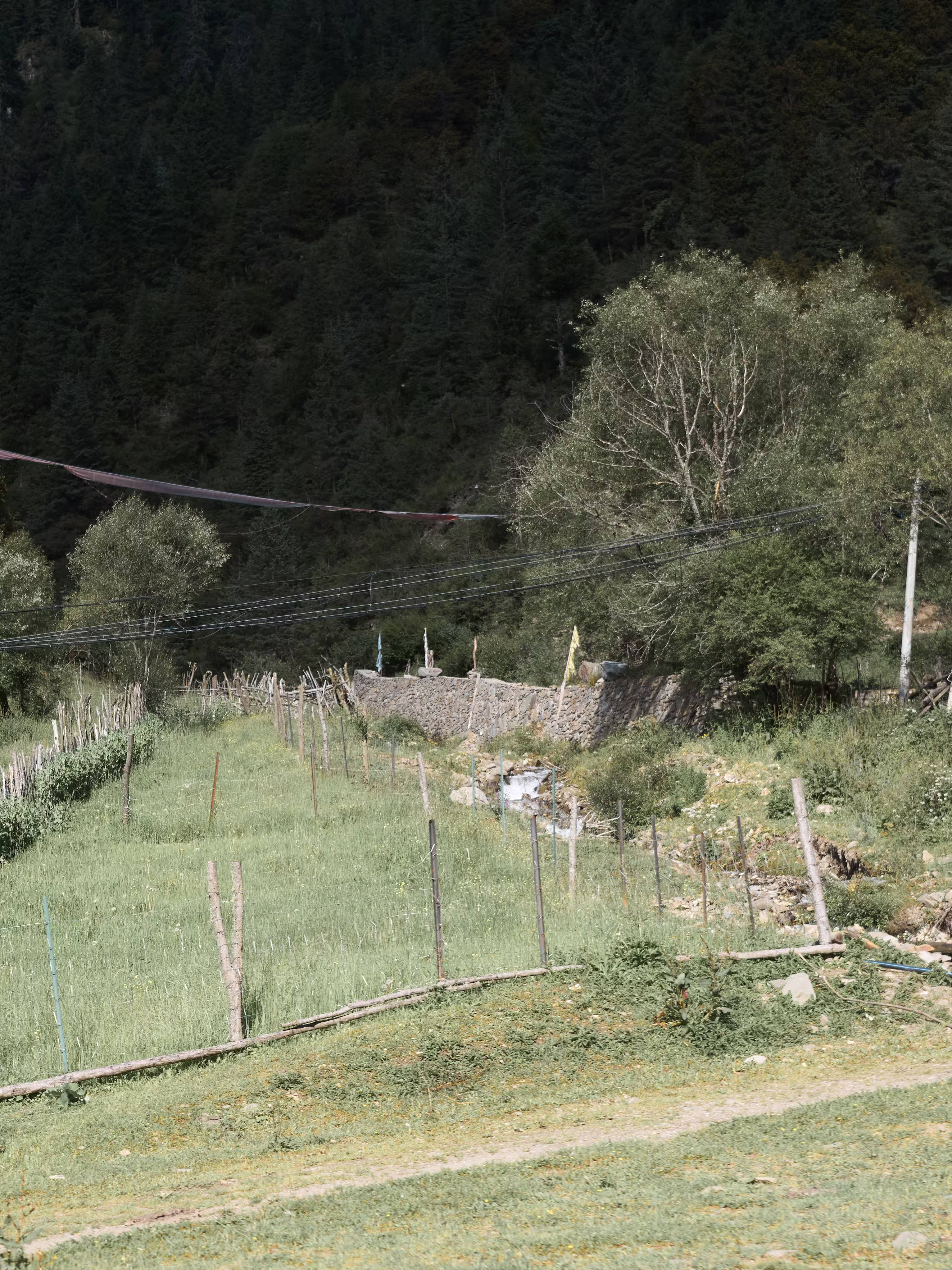 p-2024-08-15-00-00-00-002-1