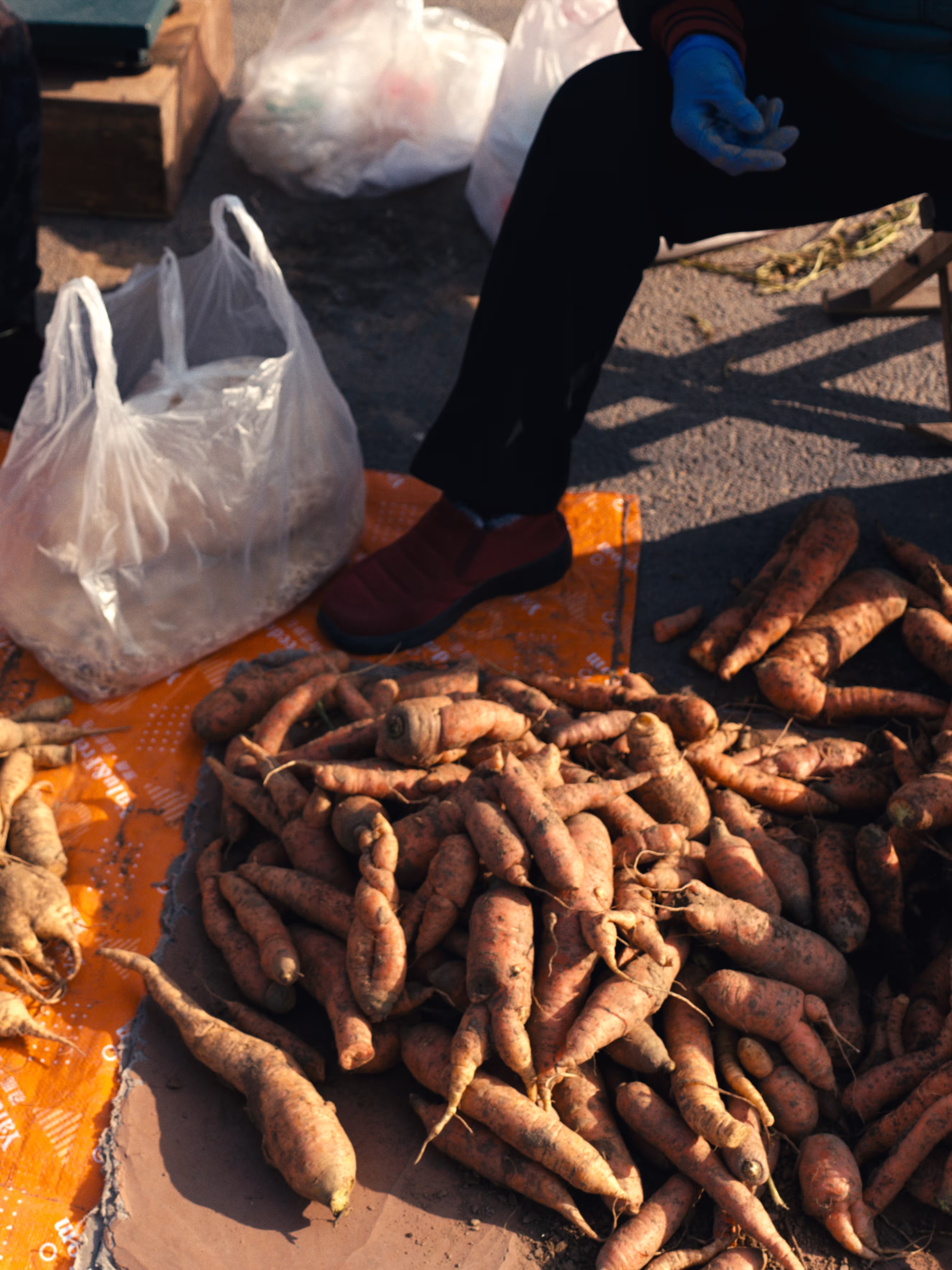 p-2025-12-23-00-00-00-002-S