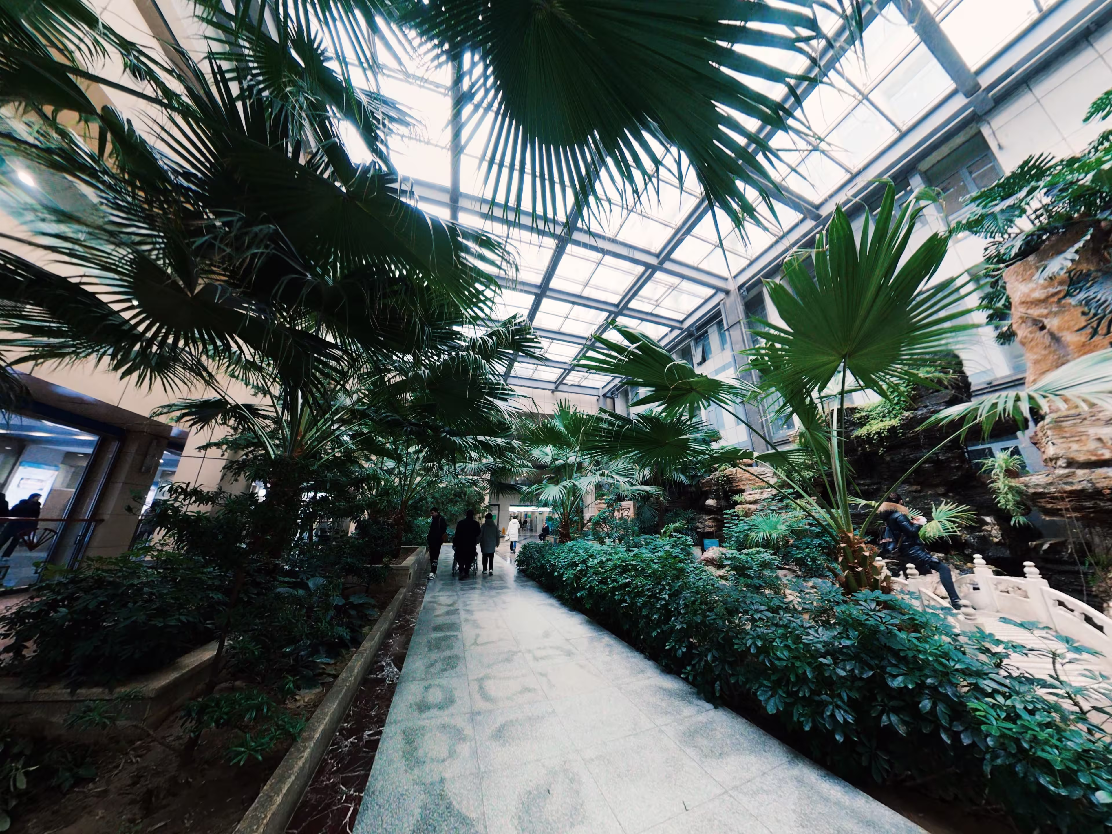 2025 Comes to an End