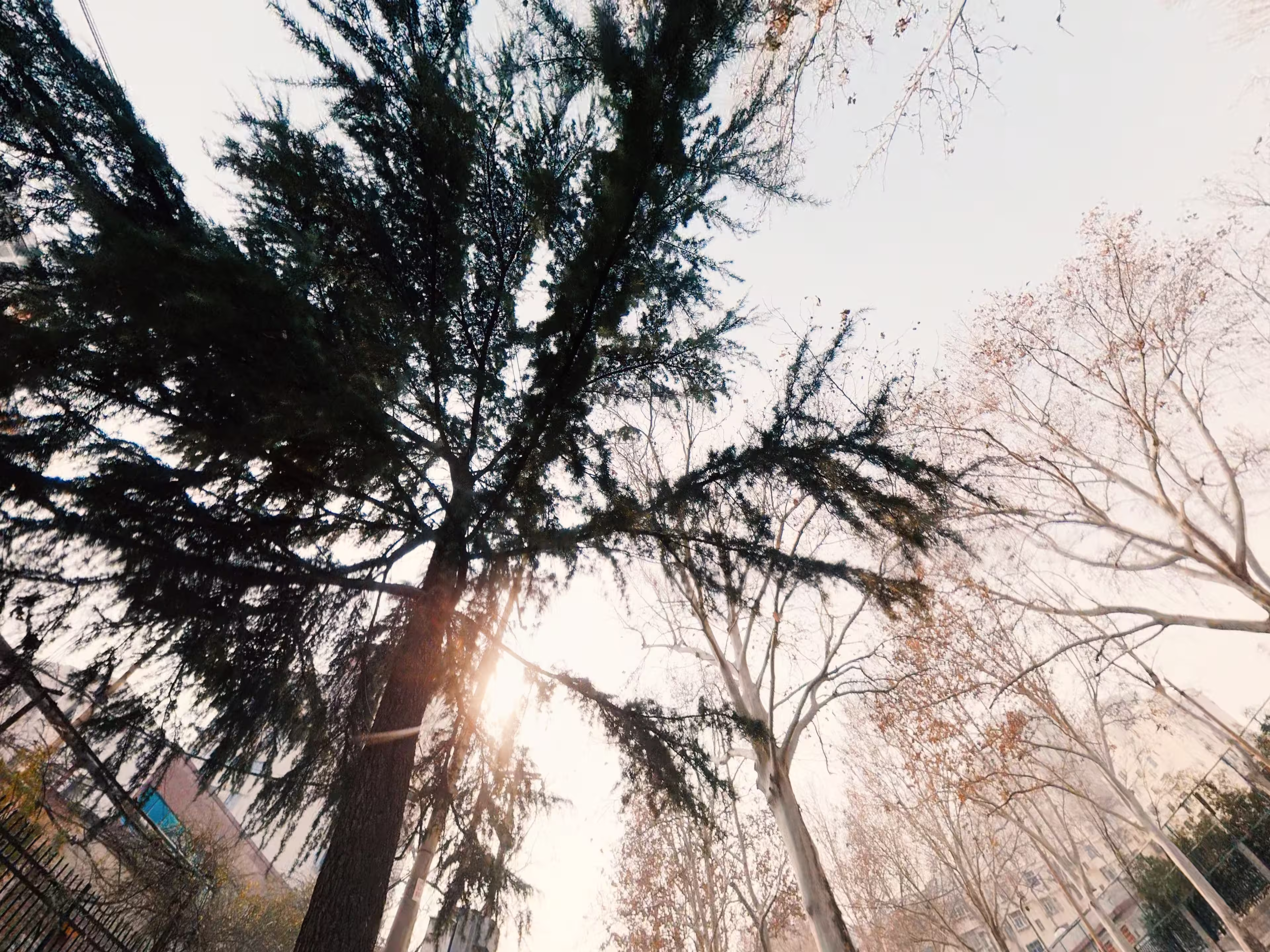 p-2026-01-24-11-42-23-000-D