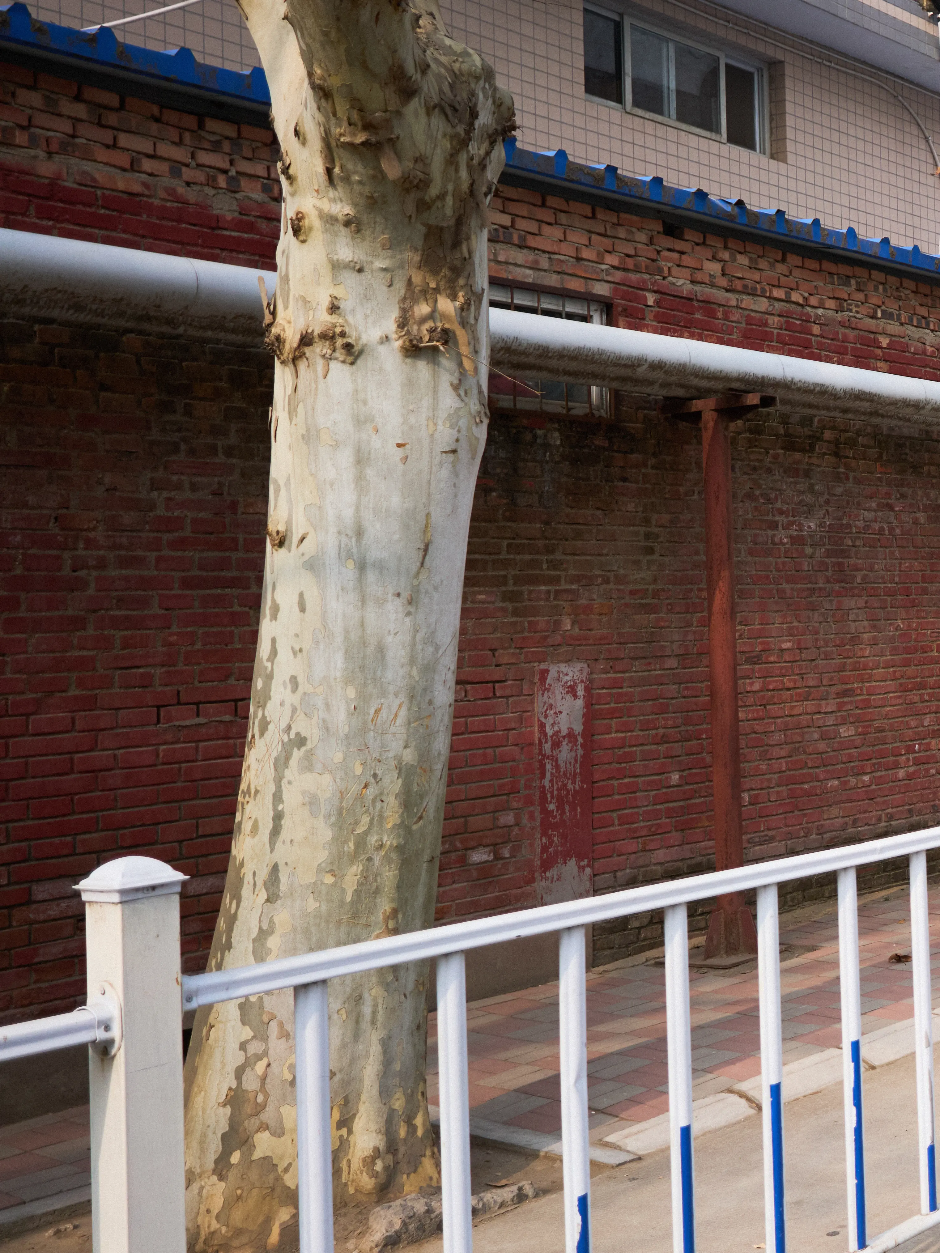 p-2026-01-31-11-34-27-000-S