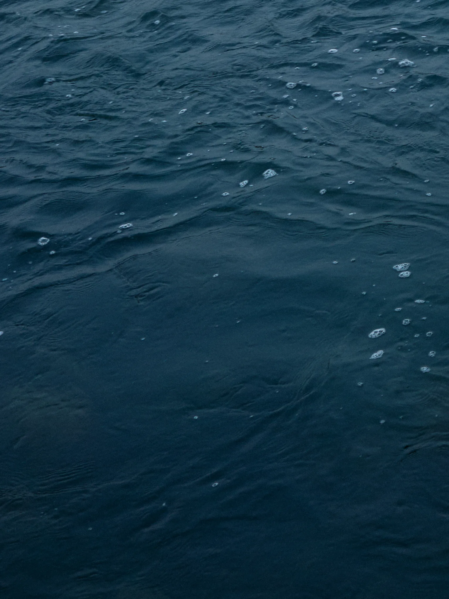 p-2026-01-31-17-02-17-000-S