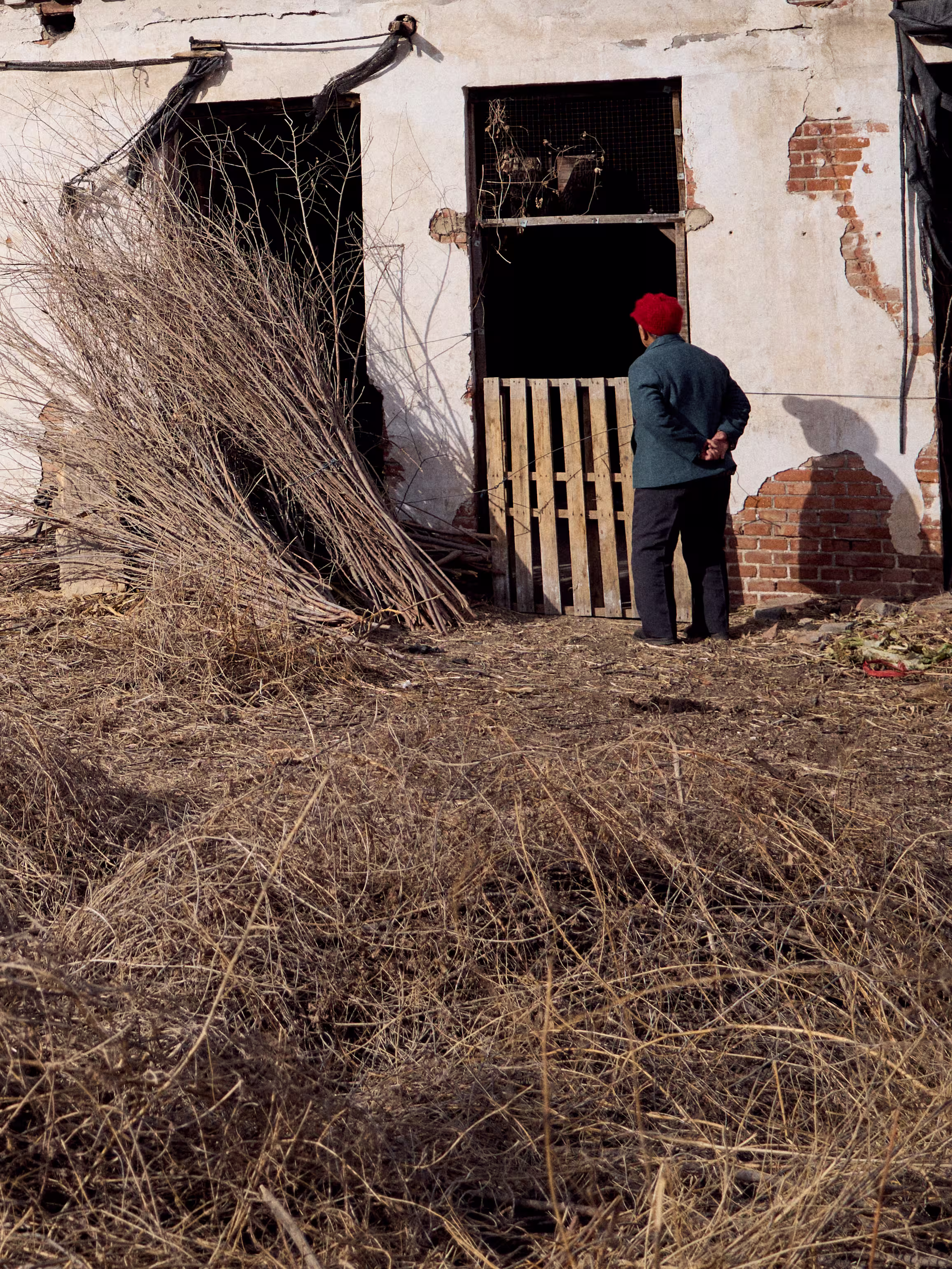 p-2026-02-16-14-41-54-000-S